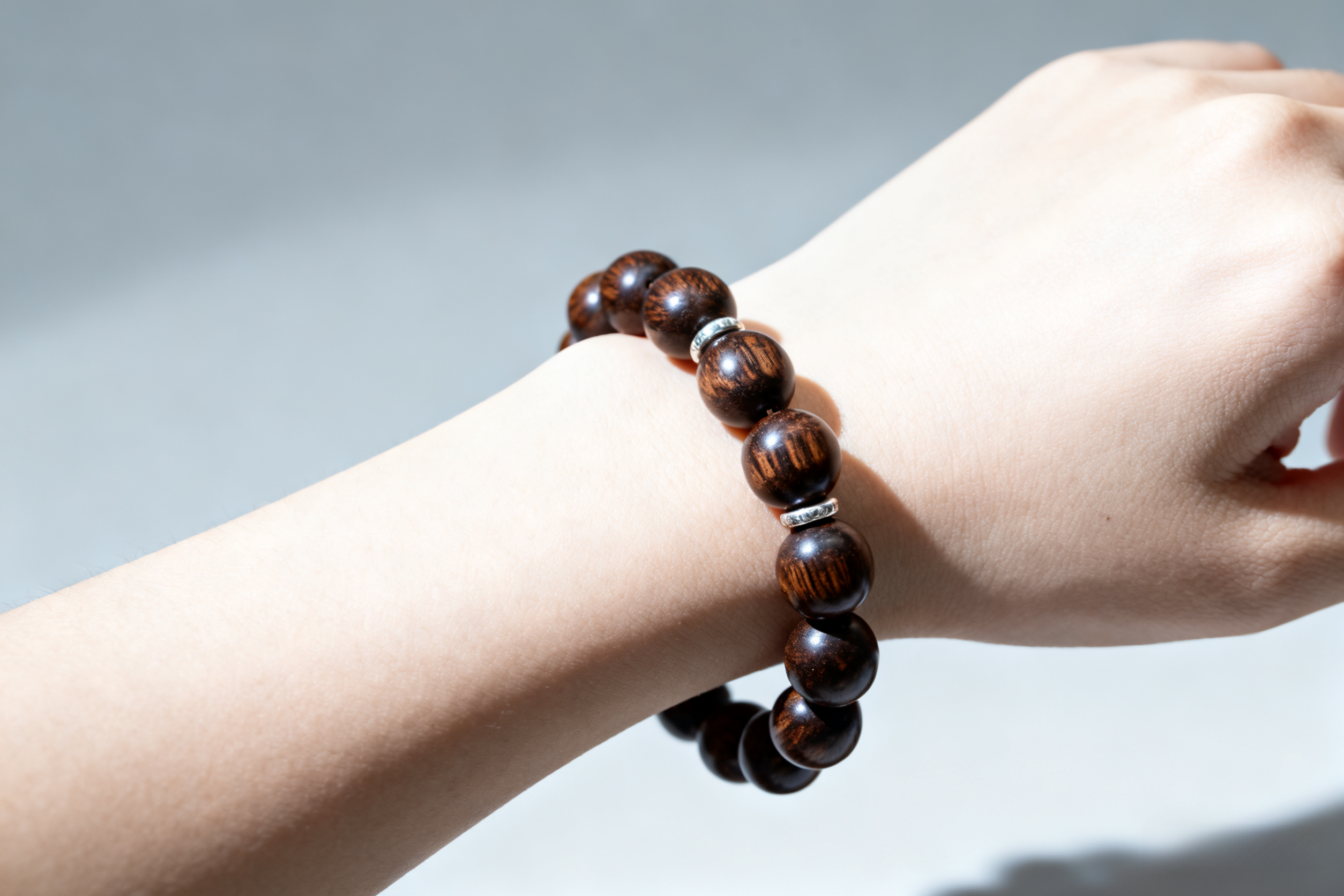 Meeting Master Craftsmen